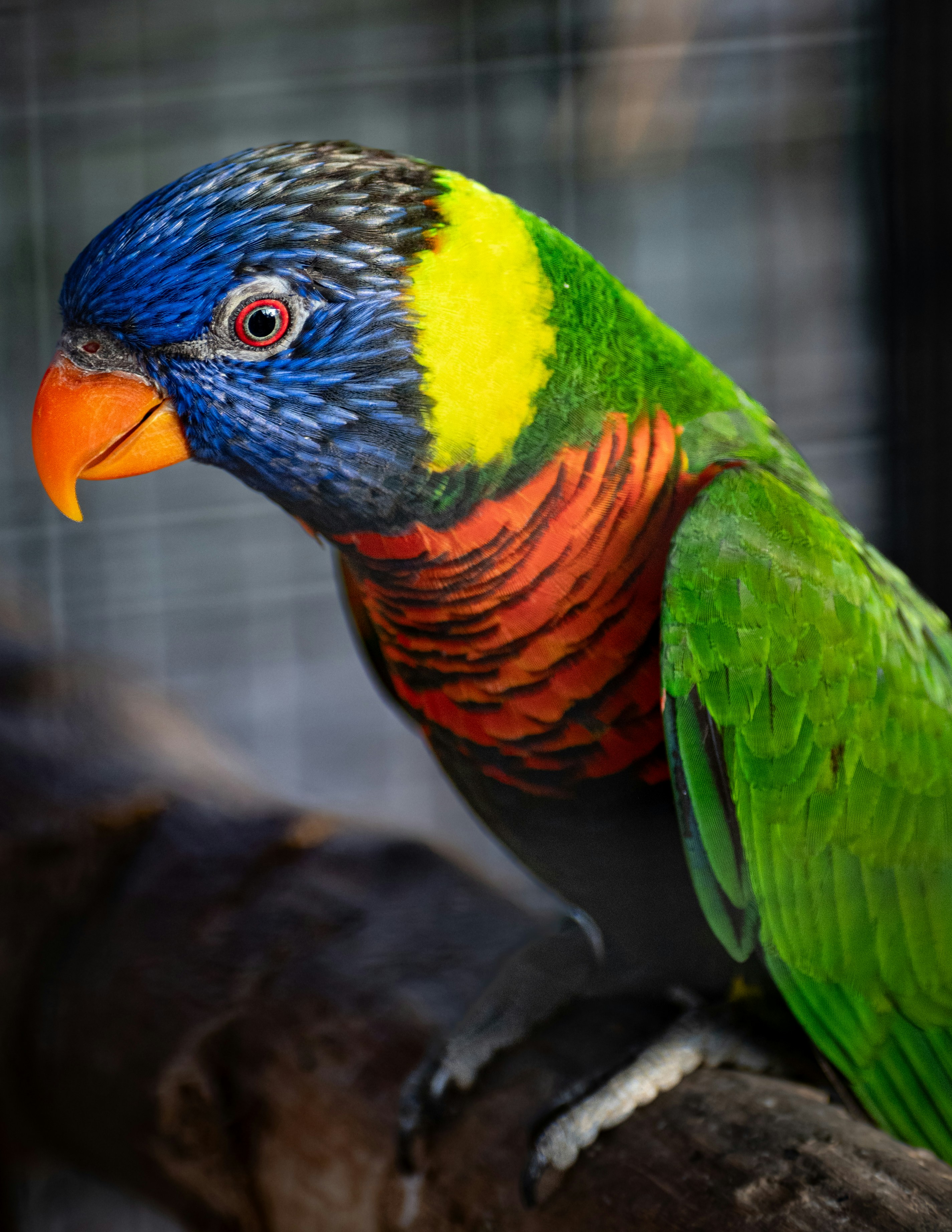 Photo by maheerakulsoom