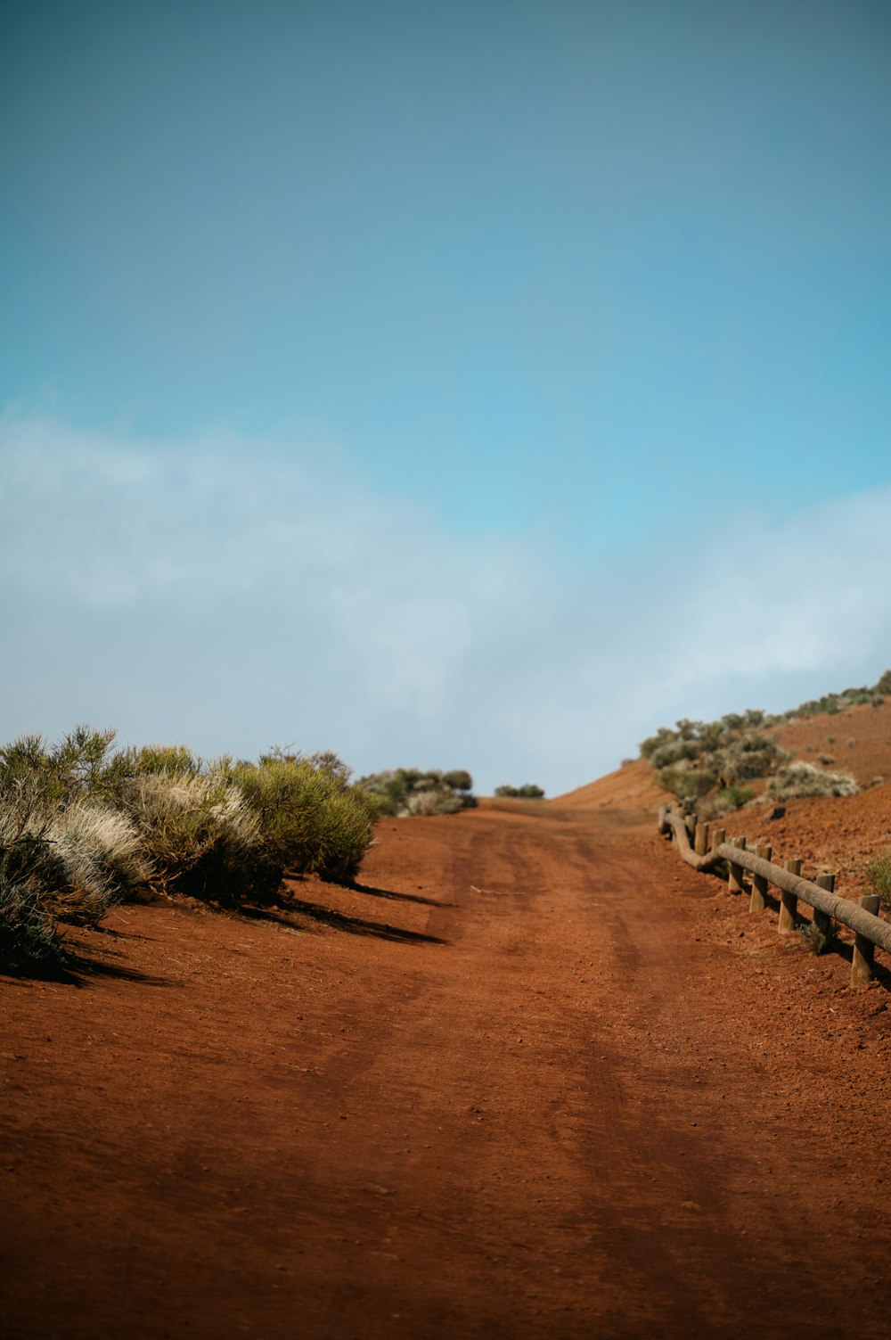 a dirt road in the middle of a desert