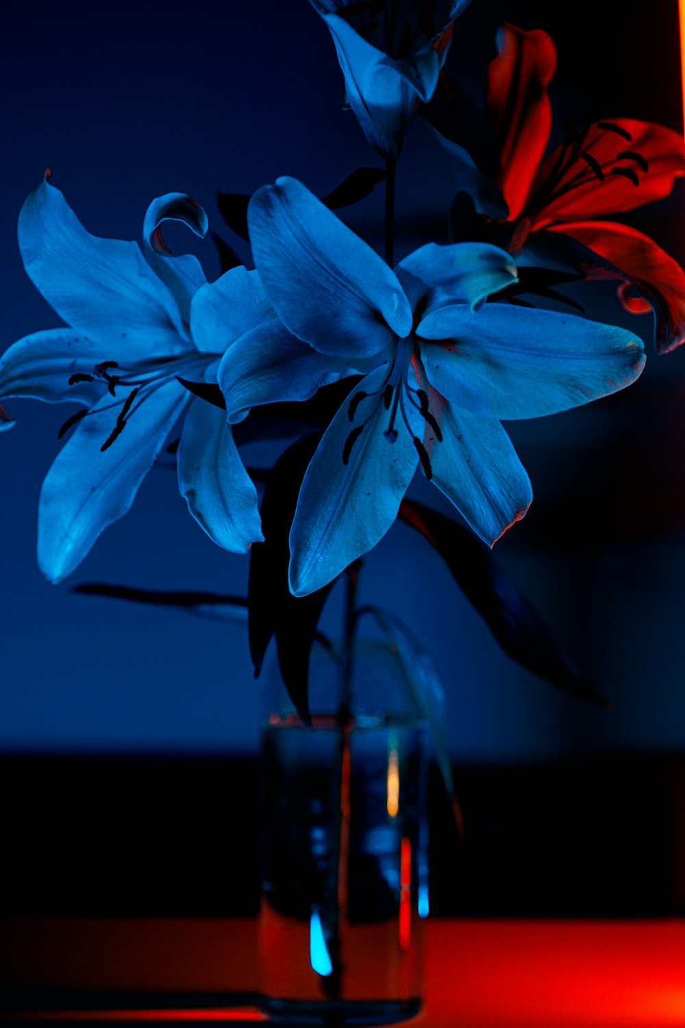 una flor azul en un jarrón de vidrio sobre una mesa