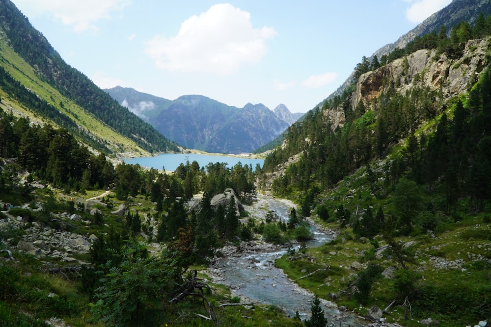 a river running through a lush green valley