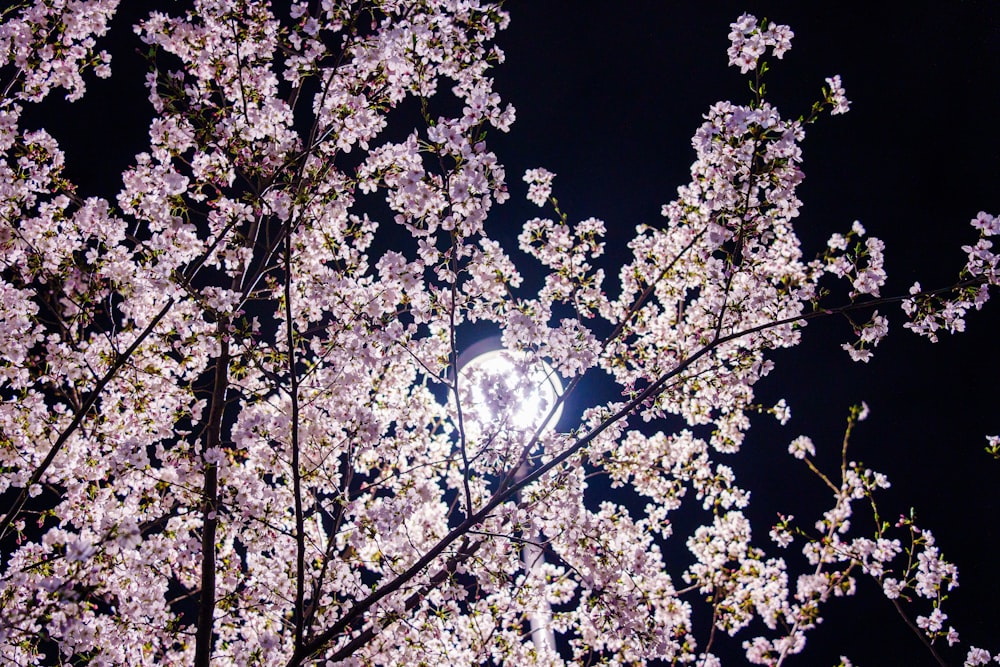 a full view of a street light surrounded by flowers