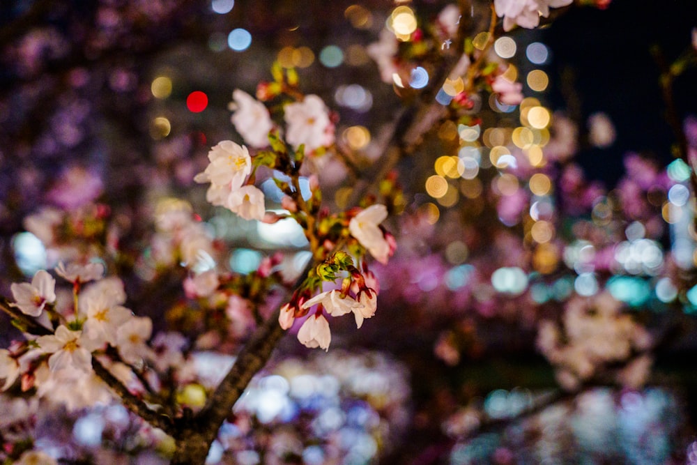 a close up of a tree with many lights in the background