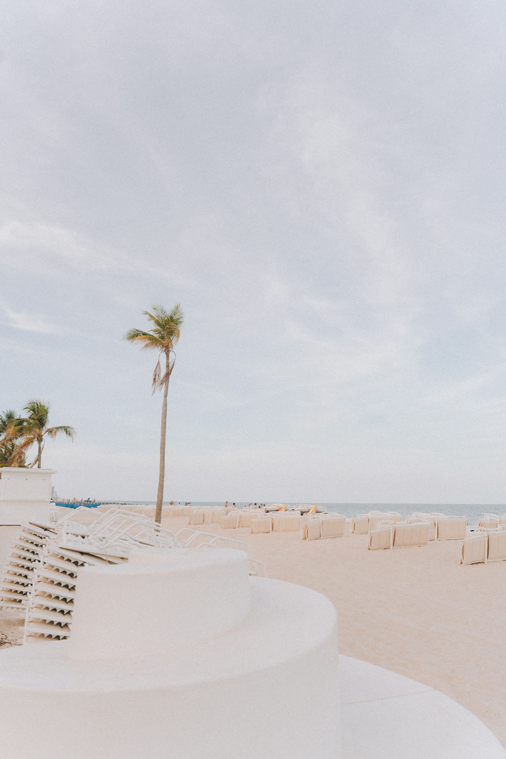 a view of a beach with a palm tree in the distance