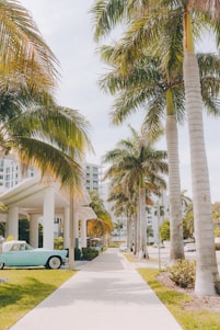 a blue car parked on the side of a road next to palm trees