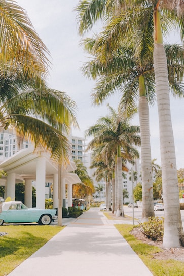 a blue car parked on the side of a road next to palm trees