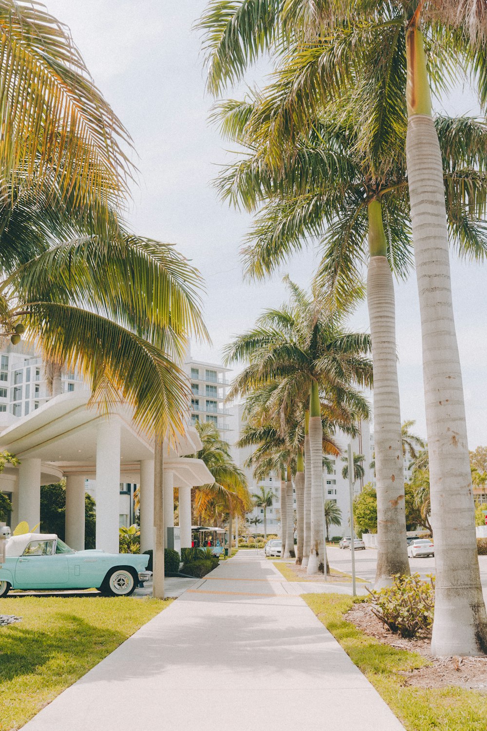 a blue car parked on the side of a road next to palm trees