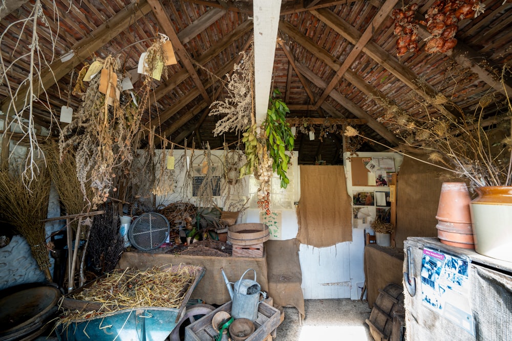 a room filled with lots of clutter and plants