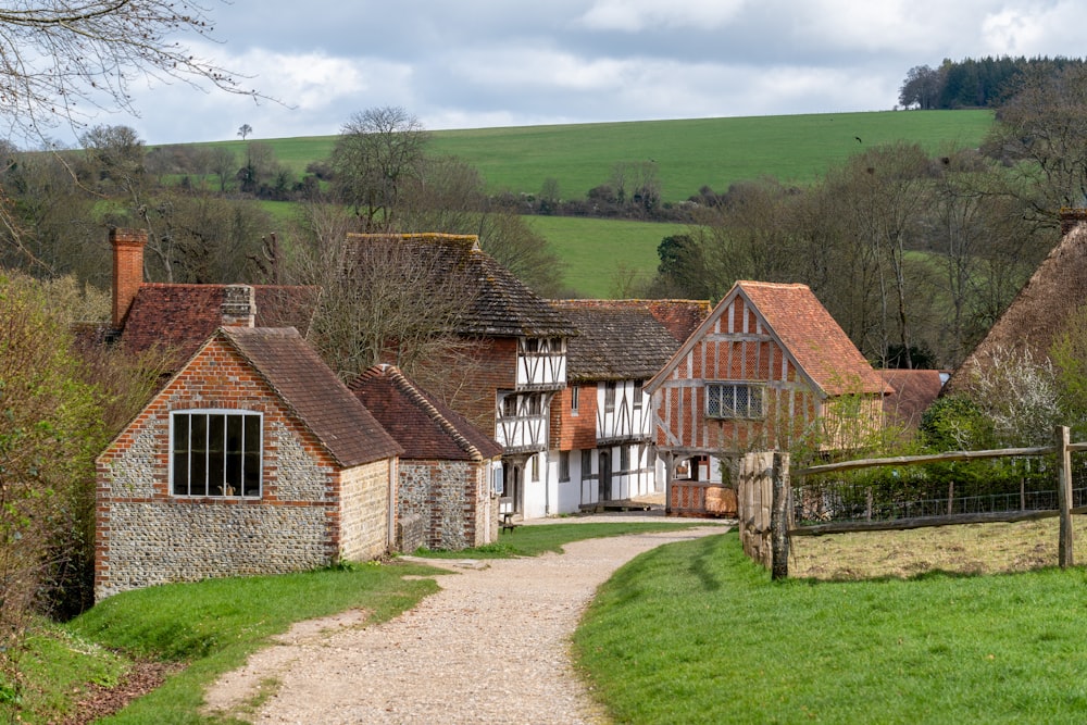 a path leading to a row of houses