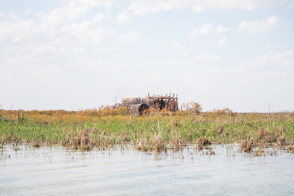 an old truck sitting in the middle of a marsh