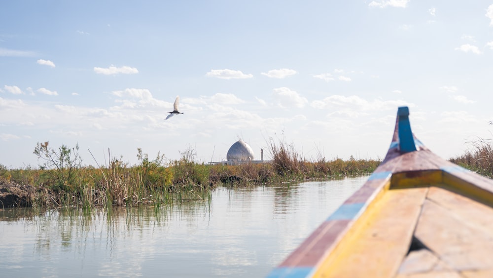 a bird flying over a body of water