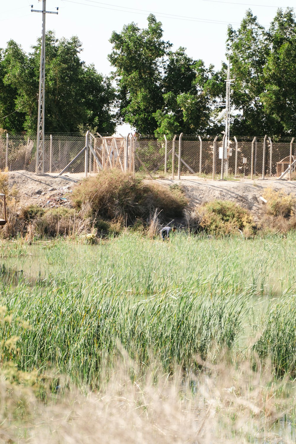 a giraffe standing in a field of tall grass