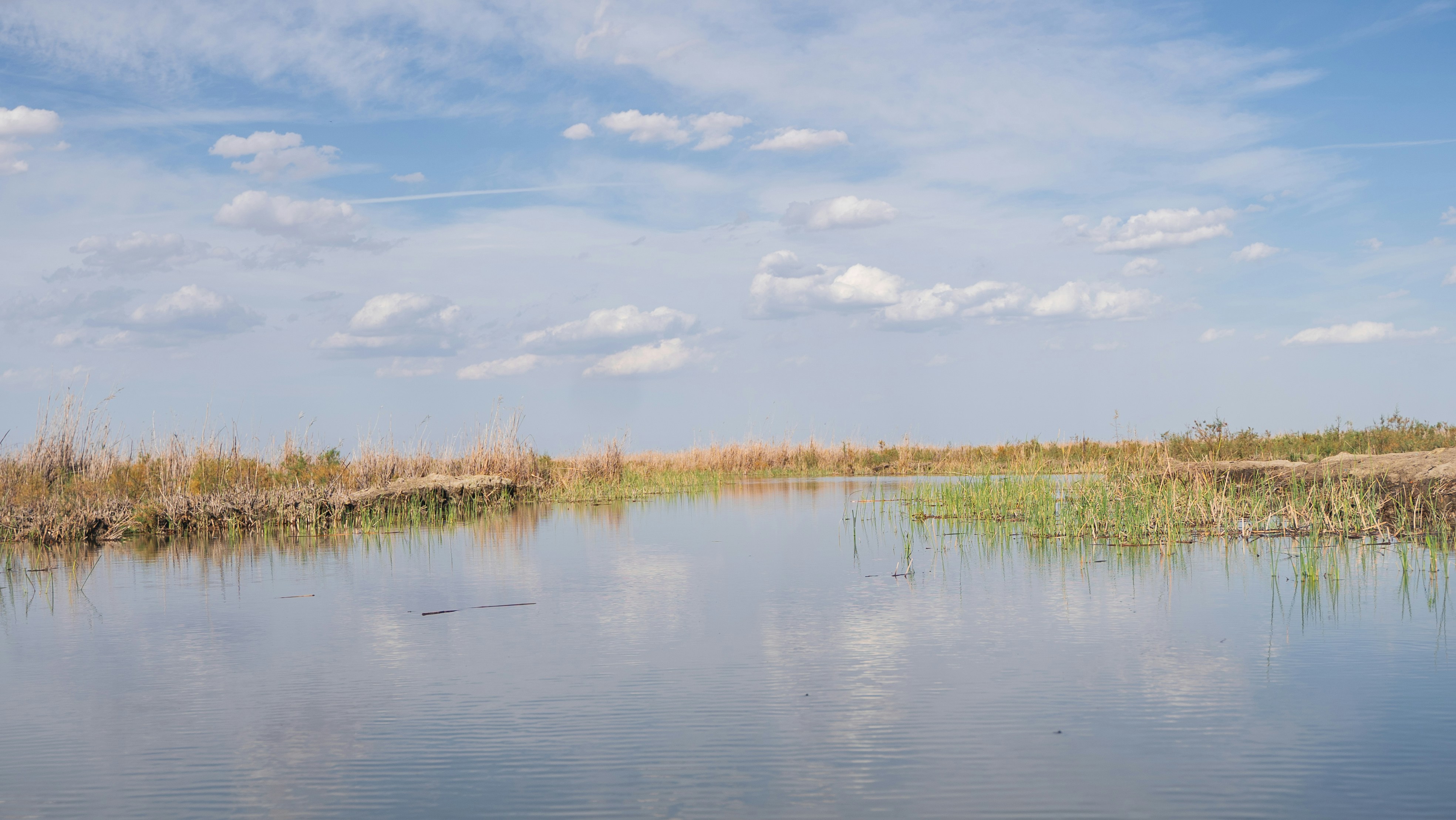 Photo by hasanmajed__