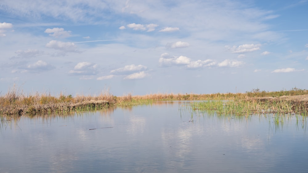 a large body of water surrounded by tall grass