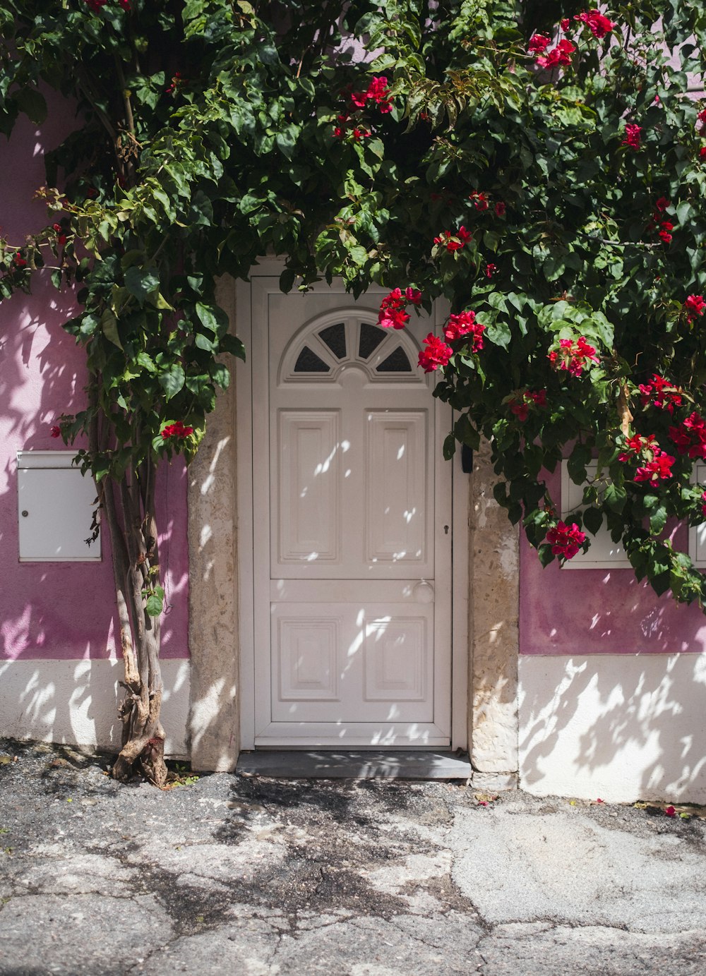 a pink house with a white door and a tree with red flowers