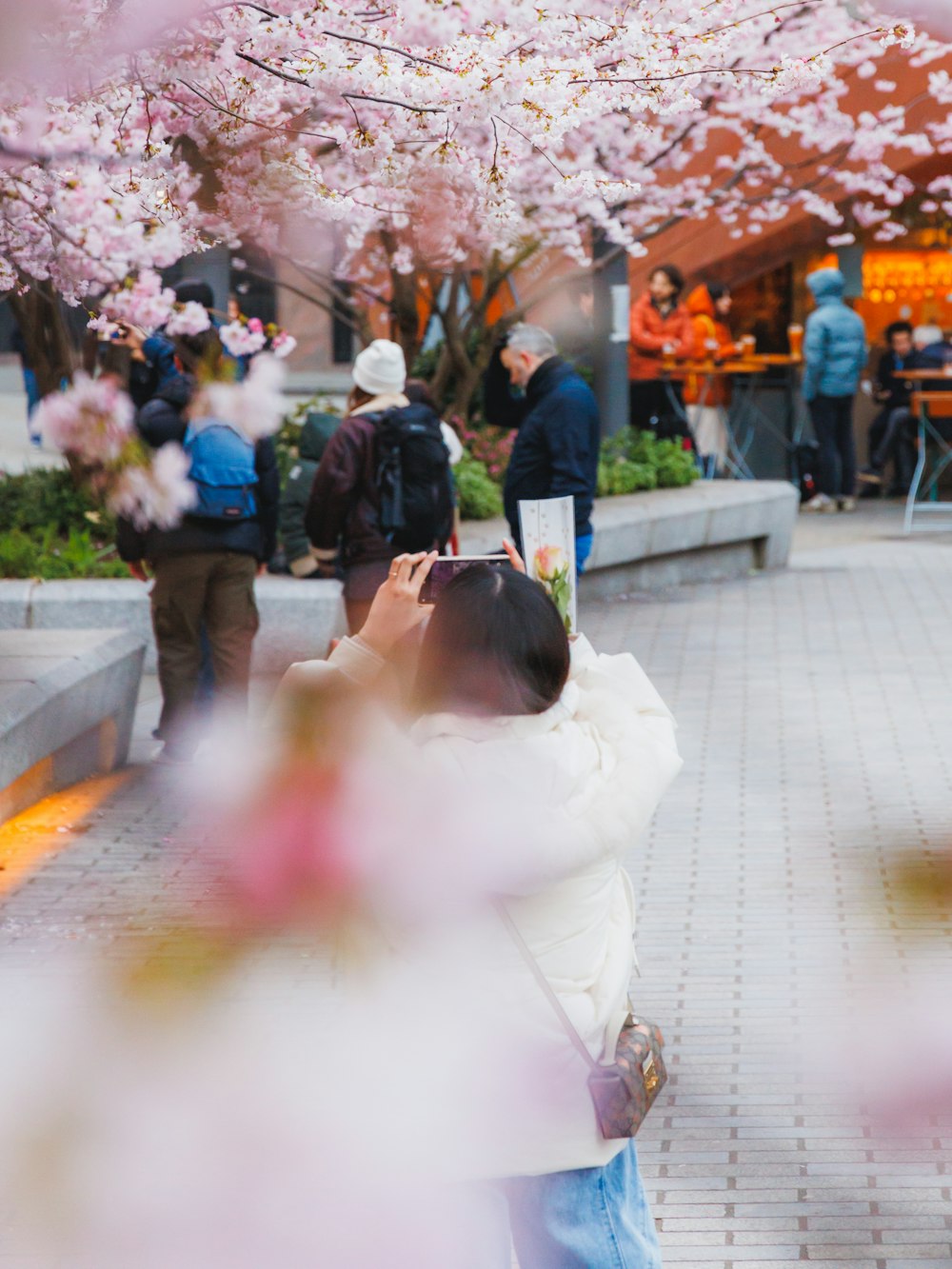 a woman taking a picture of a cherry blossom tree