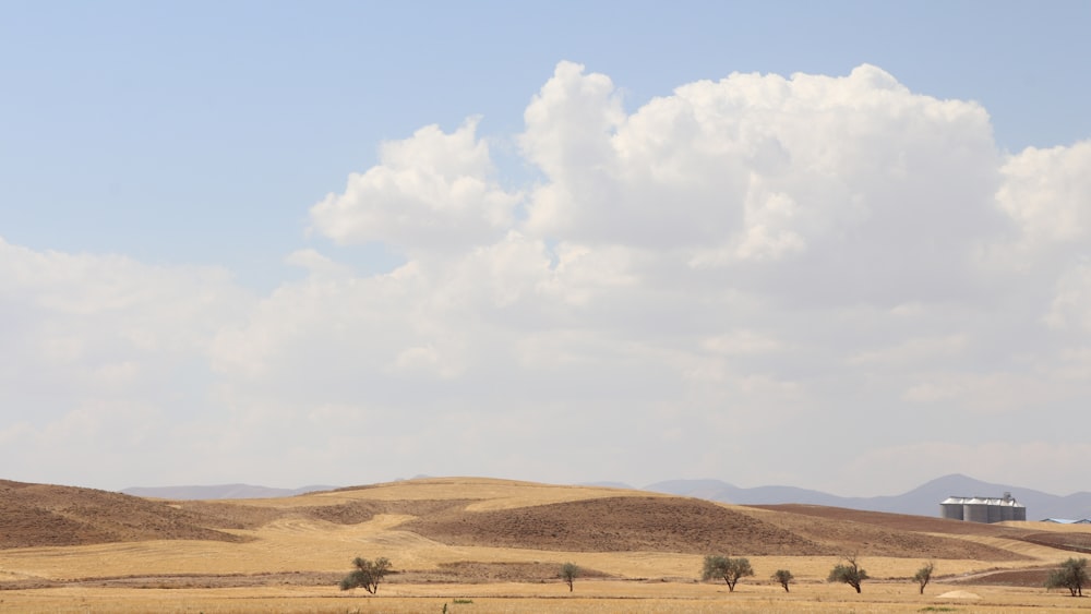 a field with trees and a building in the distance