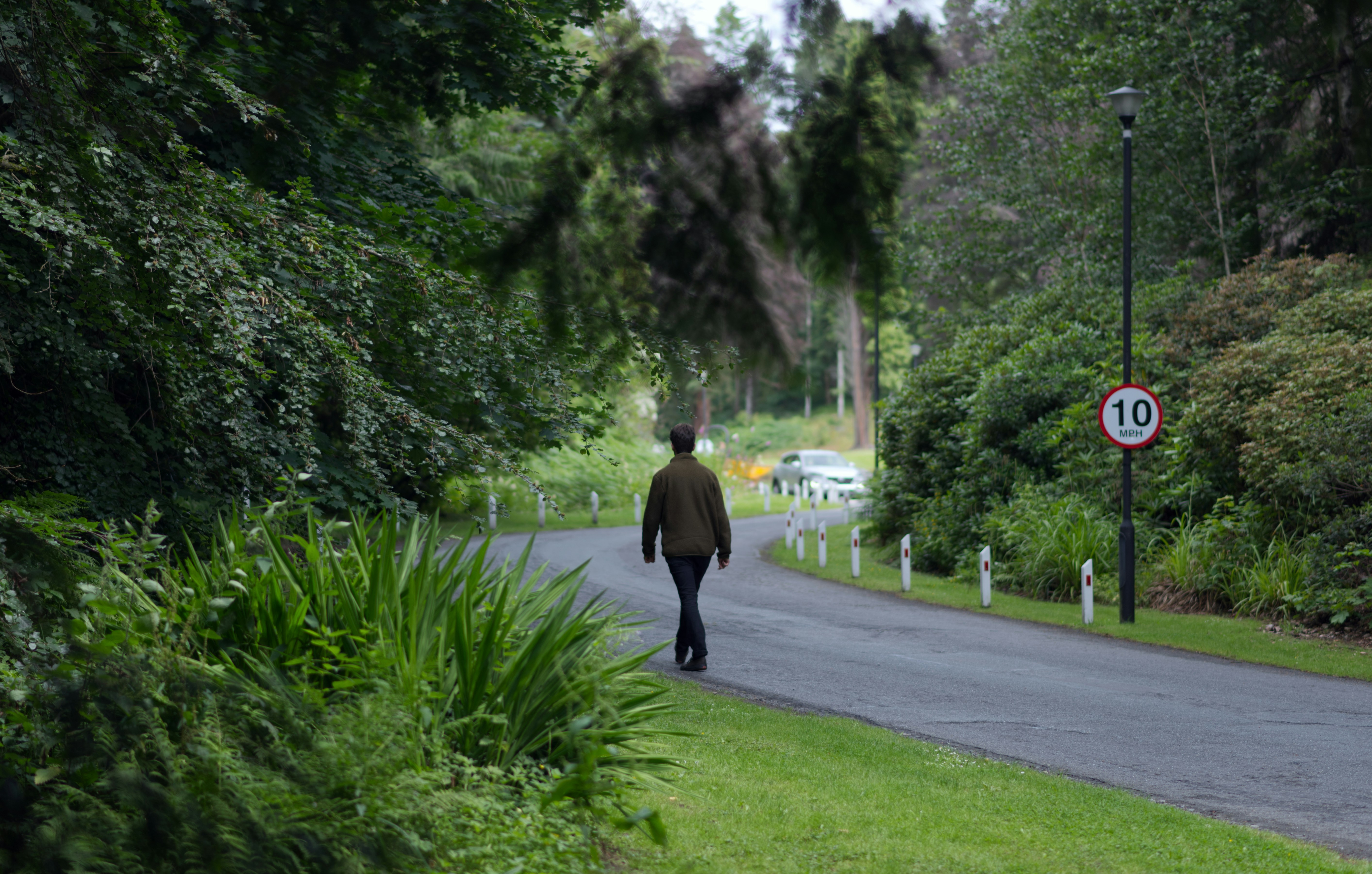 a man walking down a street next to a lush green forest