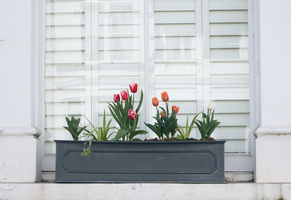 a window sill with flowers in it in front of a window