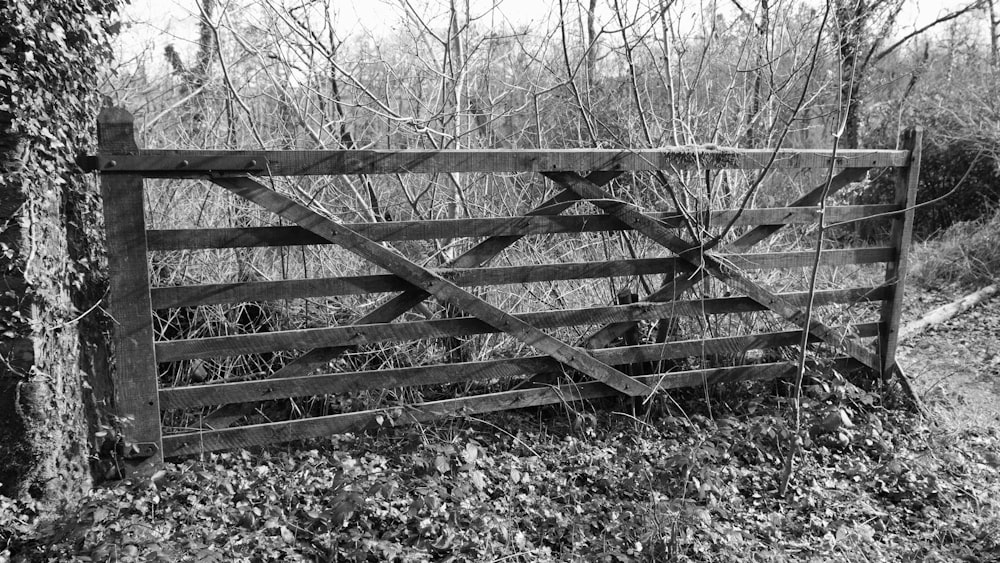 a black and white photo of a wooden gate