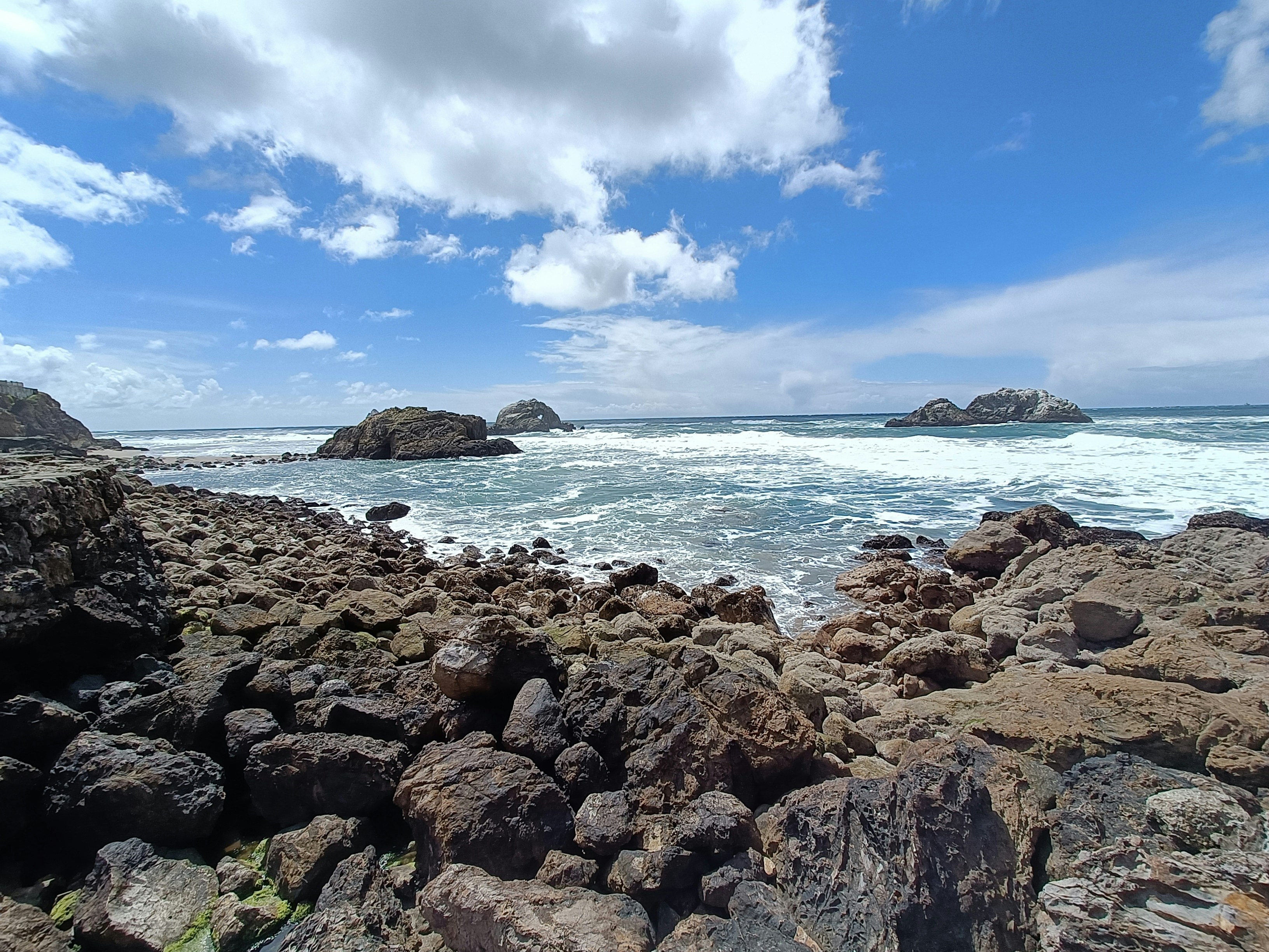 Photo by happylittlemantis