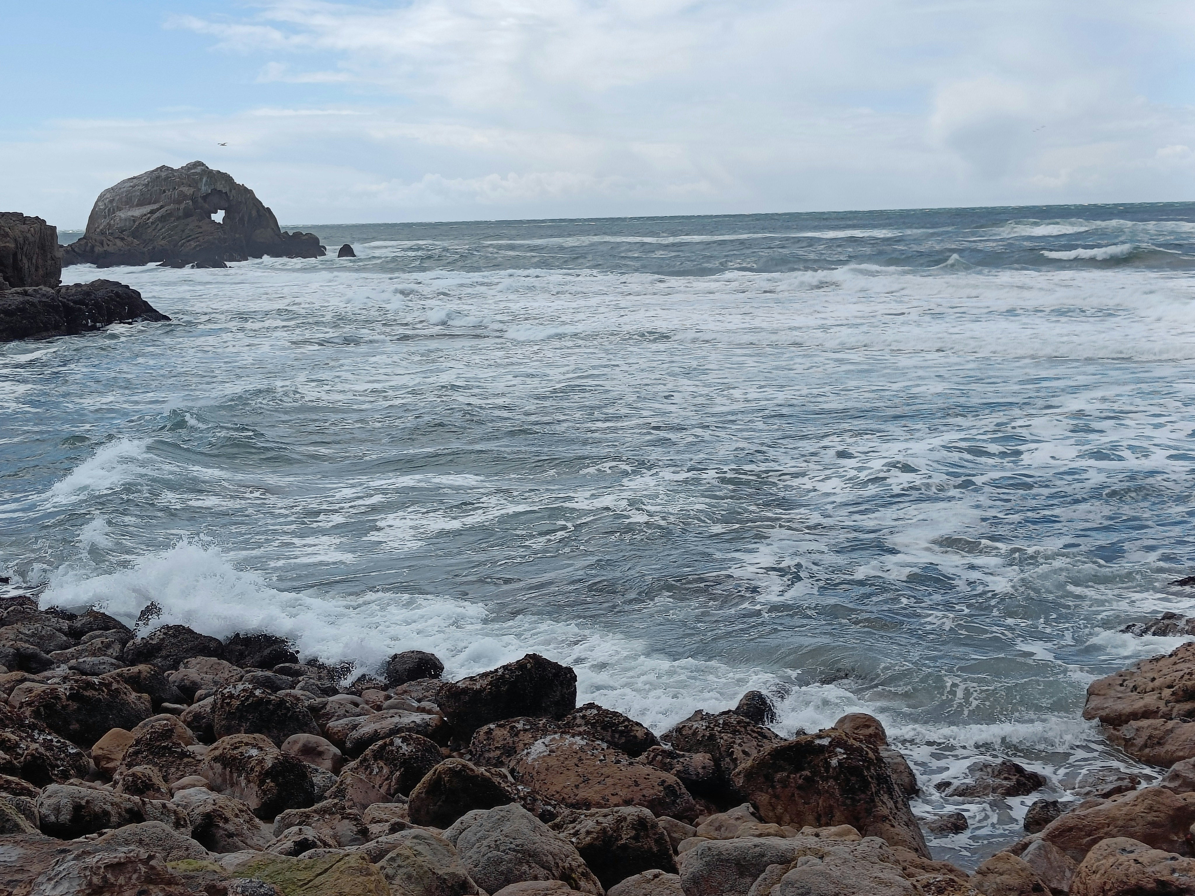 Photo by happylittlemantis