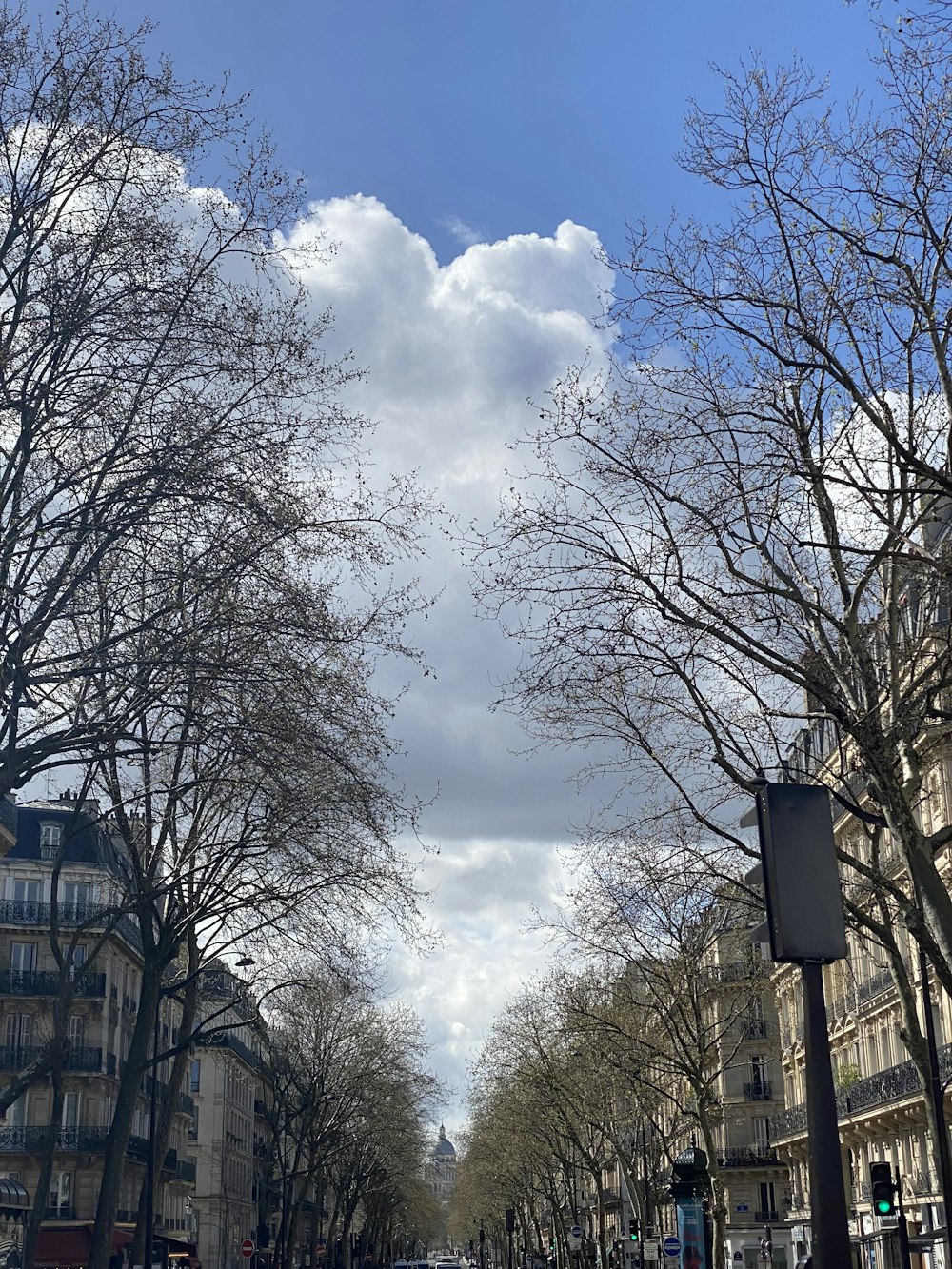 une rue bordée d’arbres et de bâtiments sous un ciel nuageux