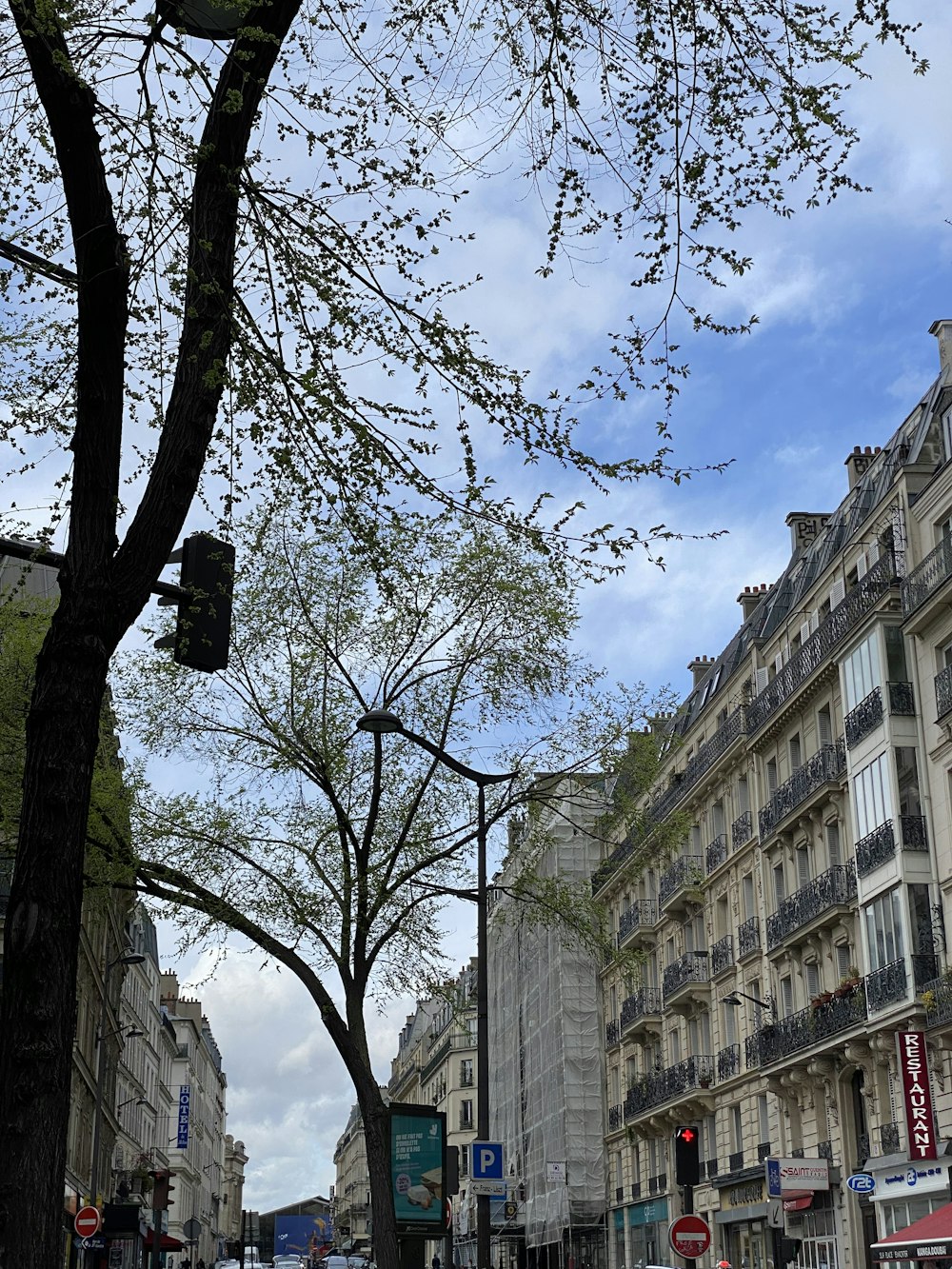 Eine Stadtstraße mit hohen Gebäuden und Bäumen