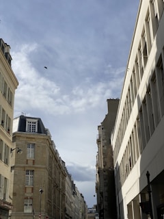 a bird flying over a street in a city
