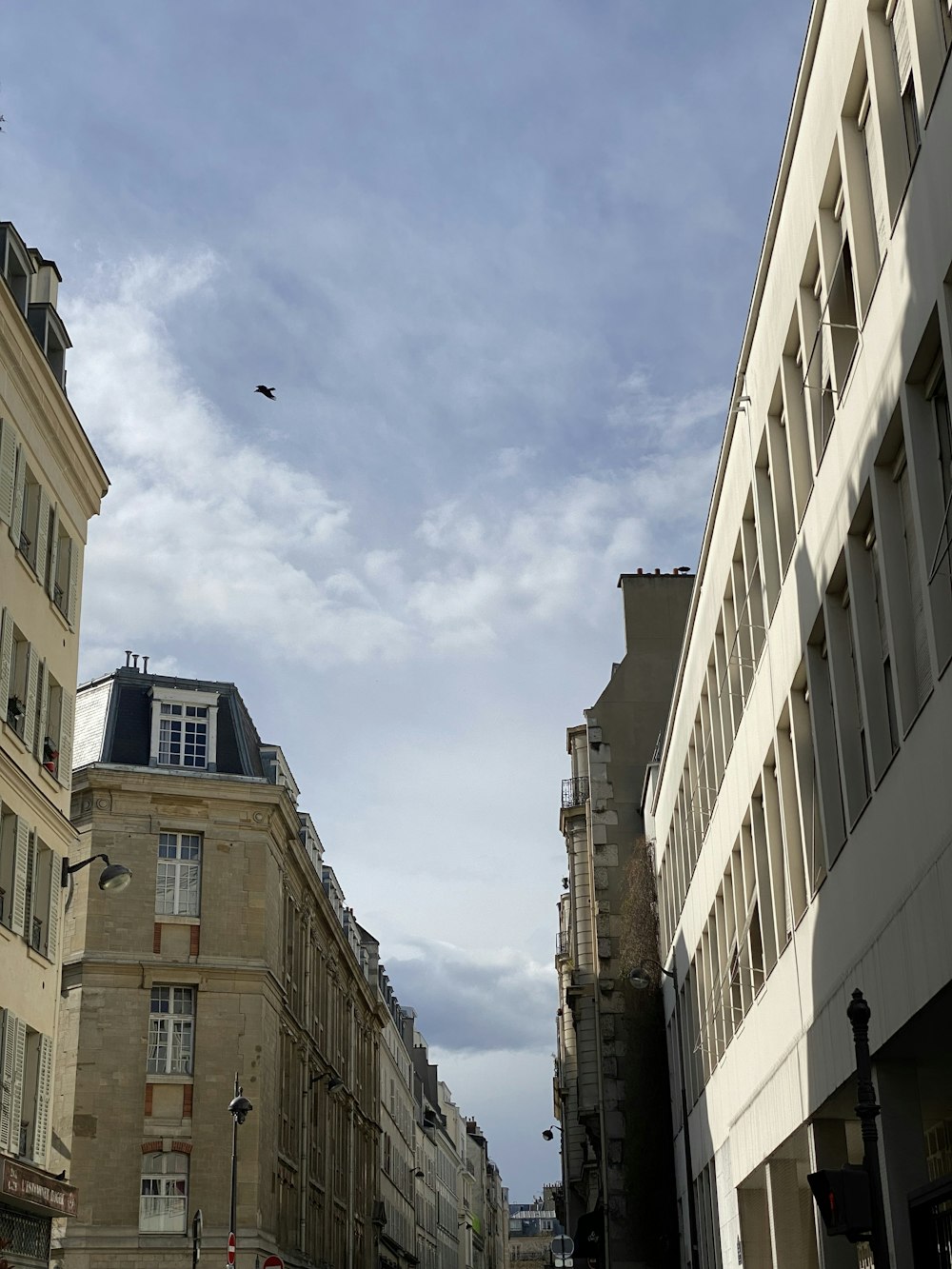 a bird flying over a street in a city