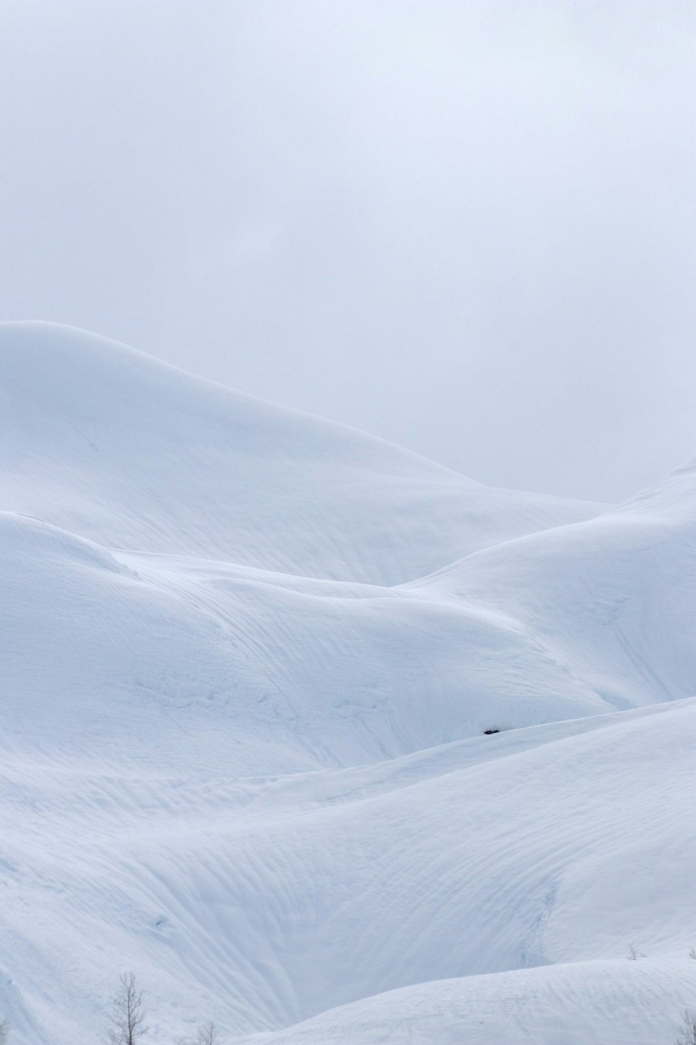 a person riding skis down a snow covered slope