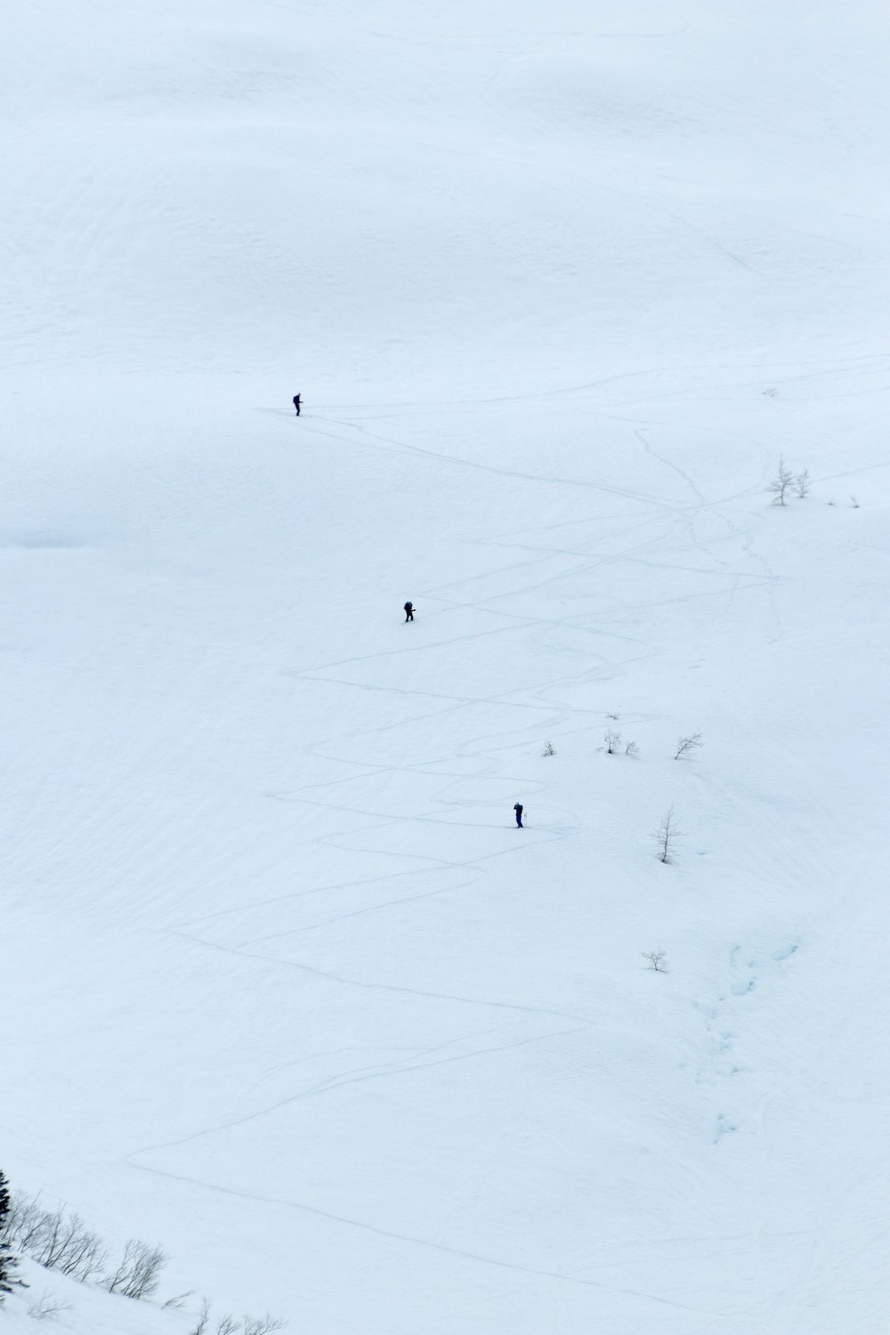 Eine Gruppe von Menschen, die über einen schneebedeckten Hang gehen