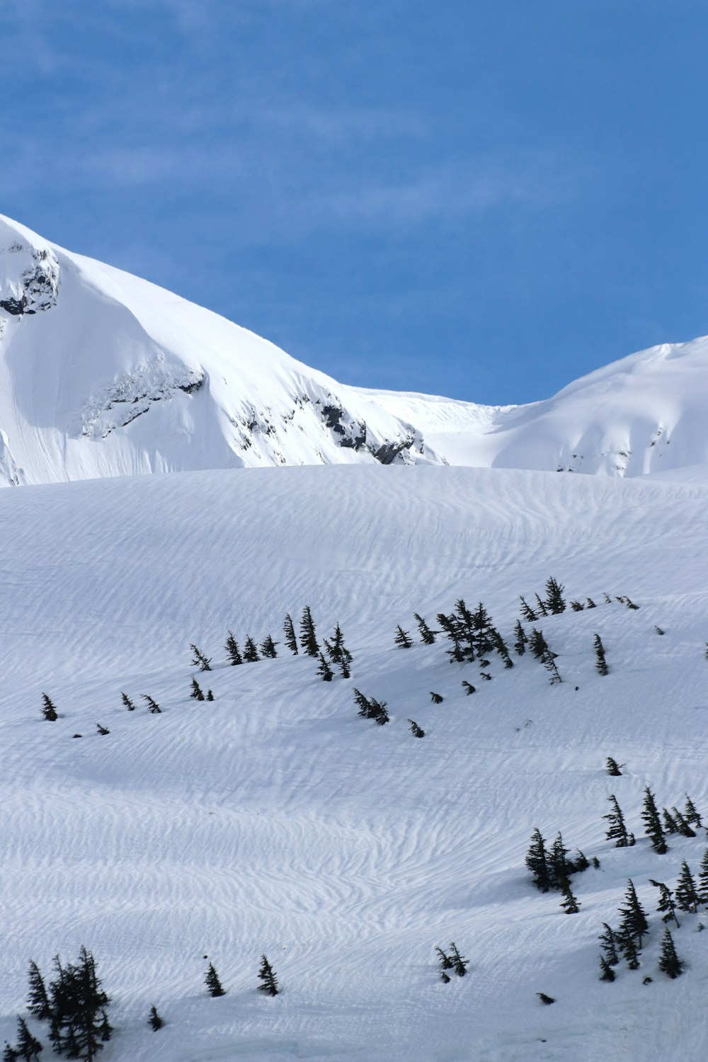 a man riding skis down a snow covered slope