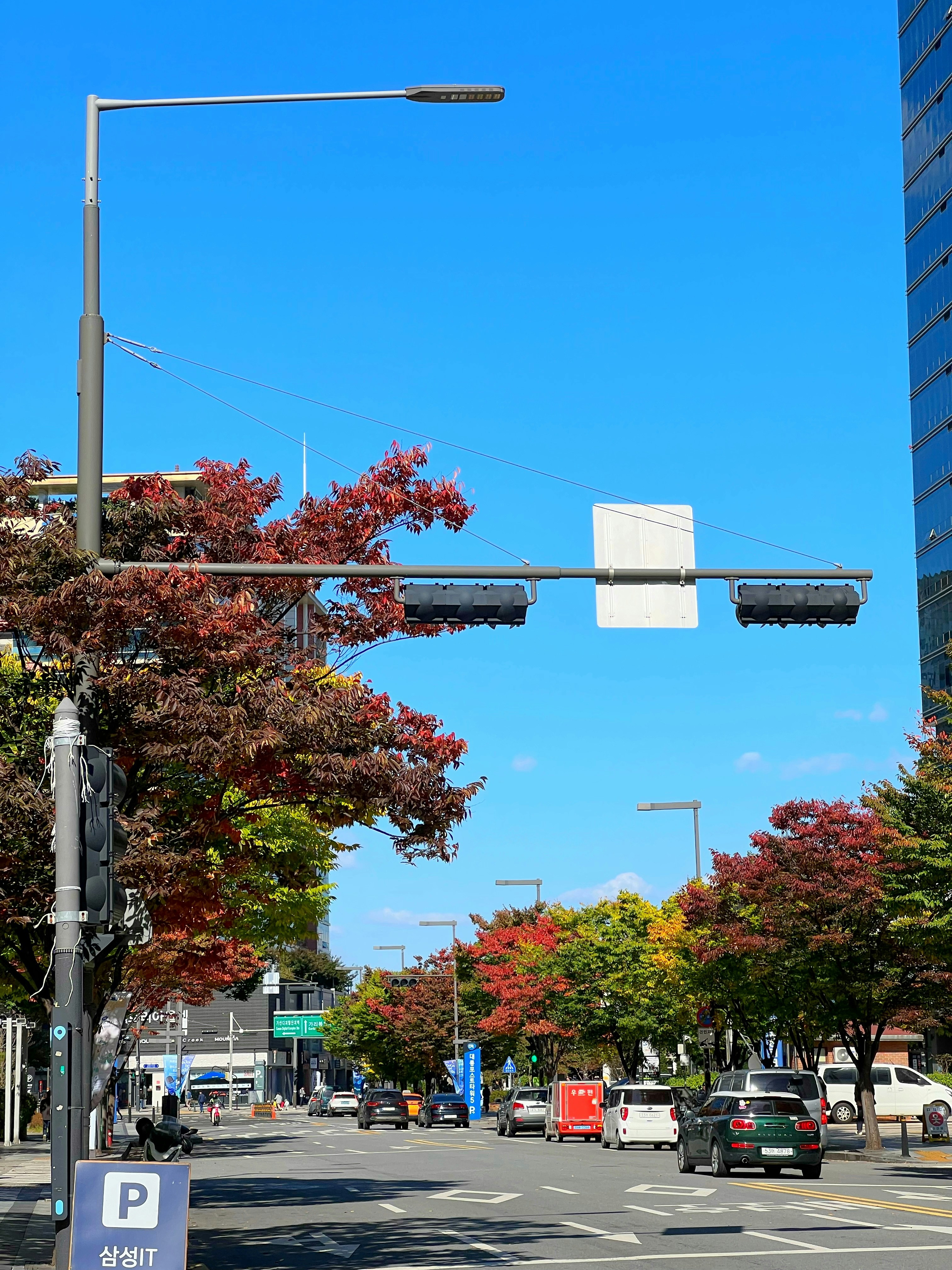 Photo by mangotreego