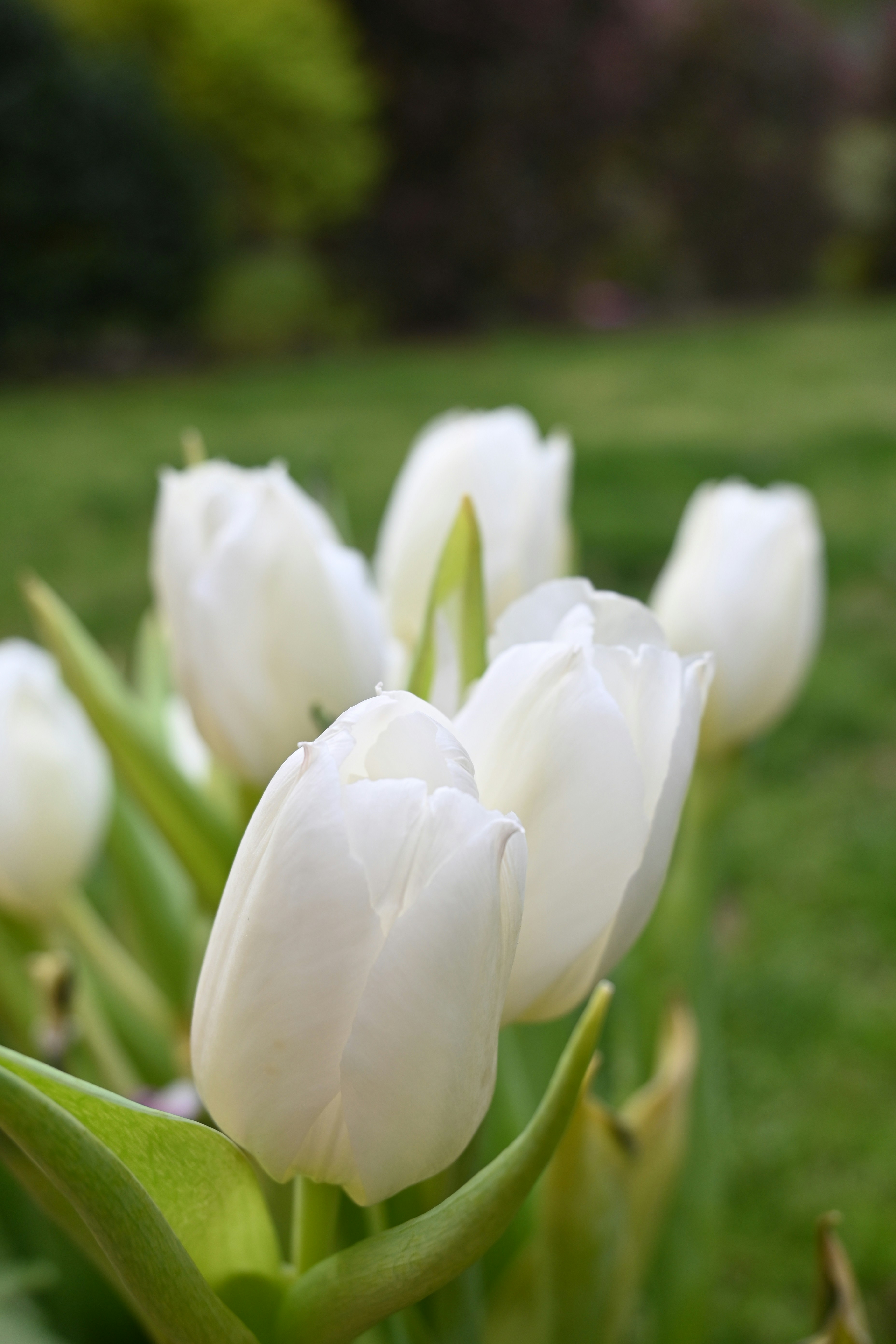 Photo by karolinabobek