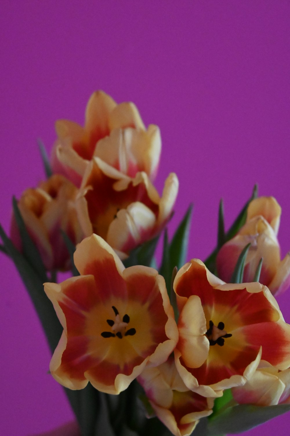 a vase filled with lots of flowers on top of a table