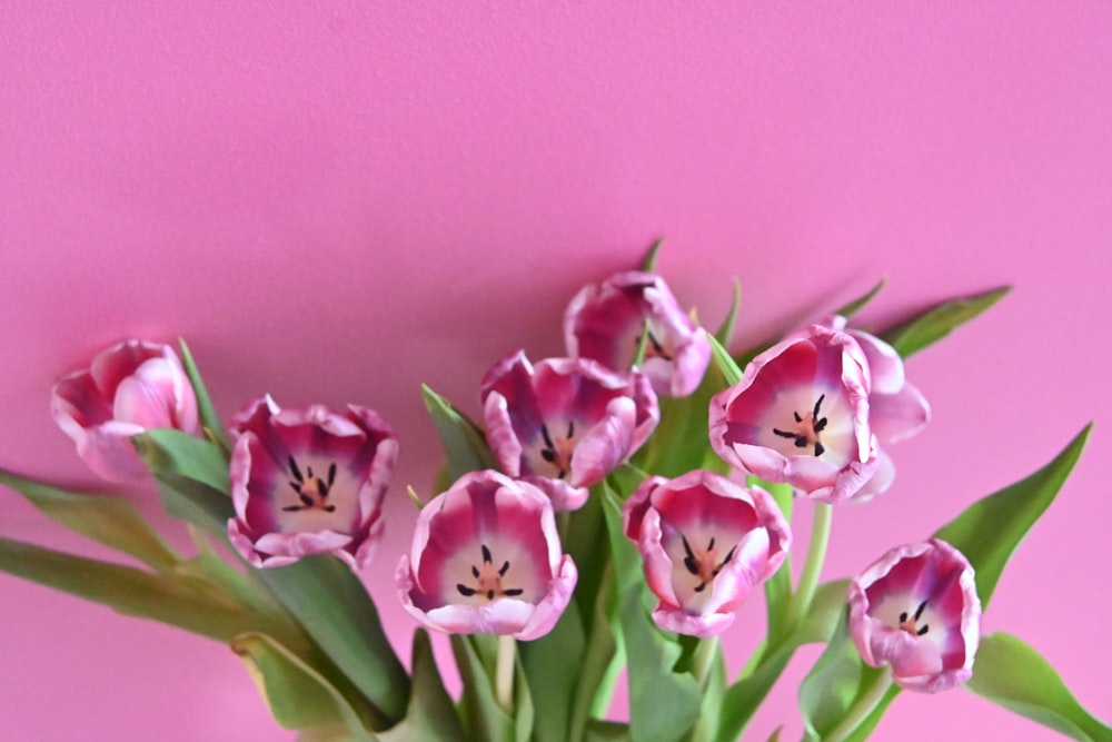 a vase filled with pink flowers on top of a table