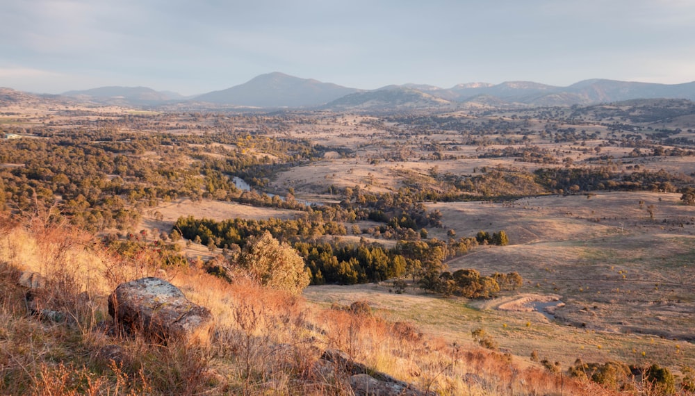 a scenic view of a valley with mountains in the background