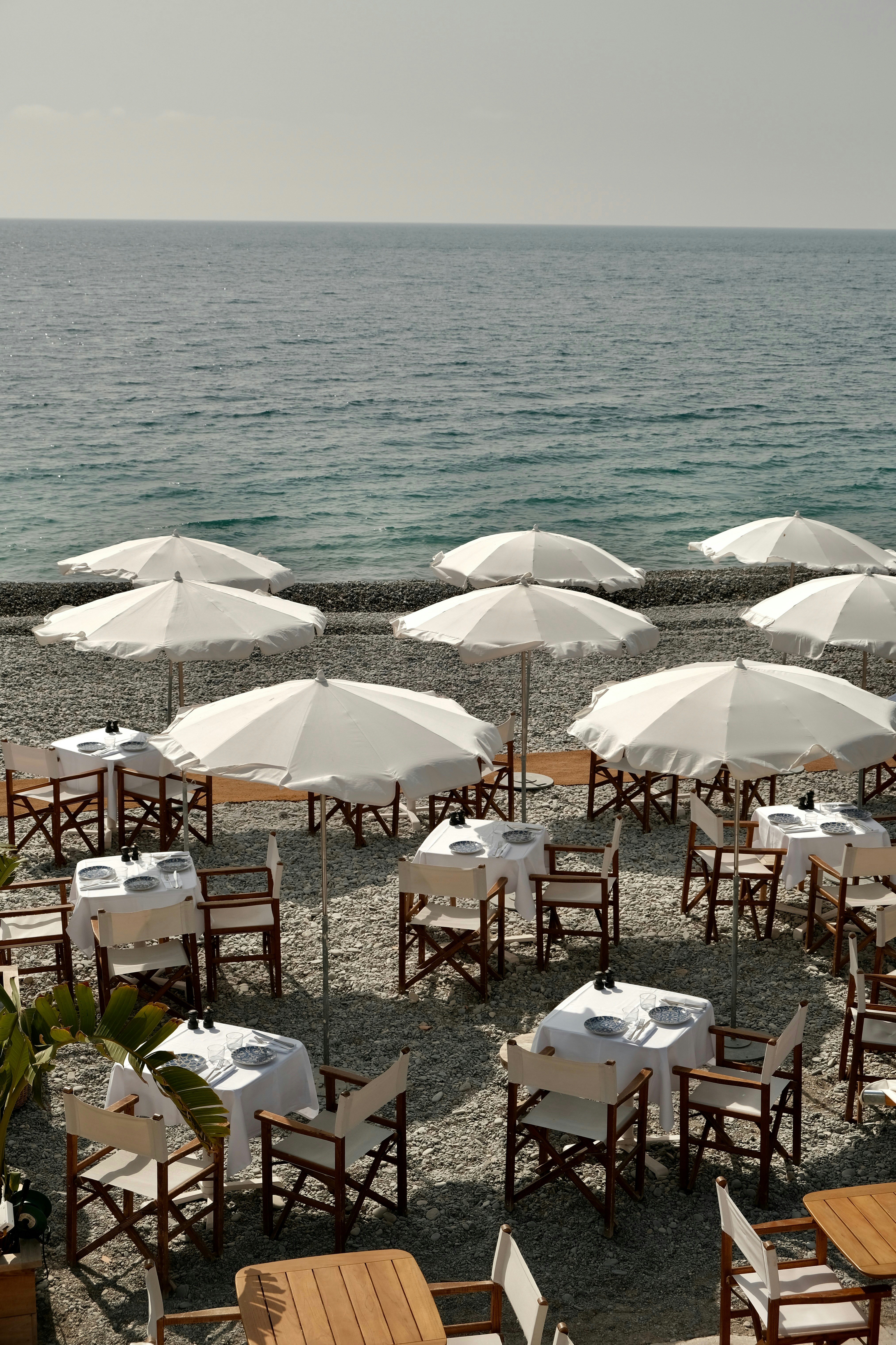 Où manger à Hammamet : meilleures adresses (poissons, brik, cafés, sorties)