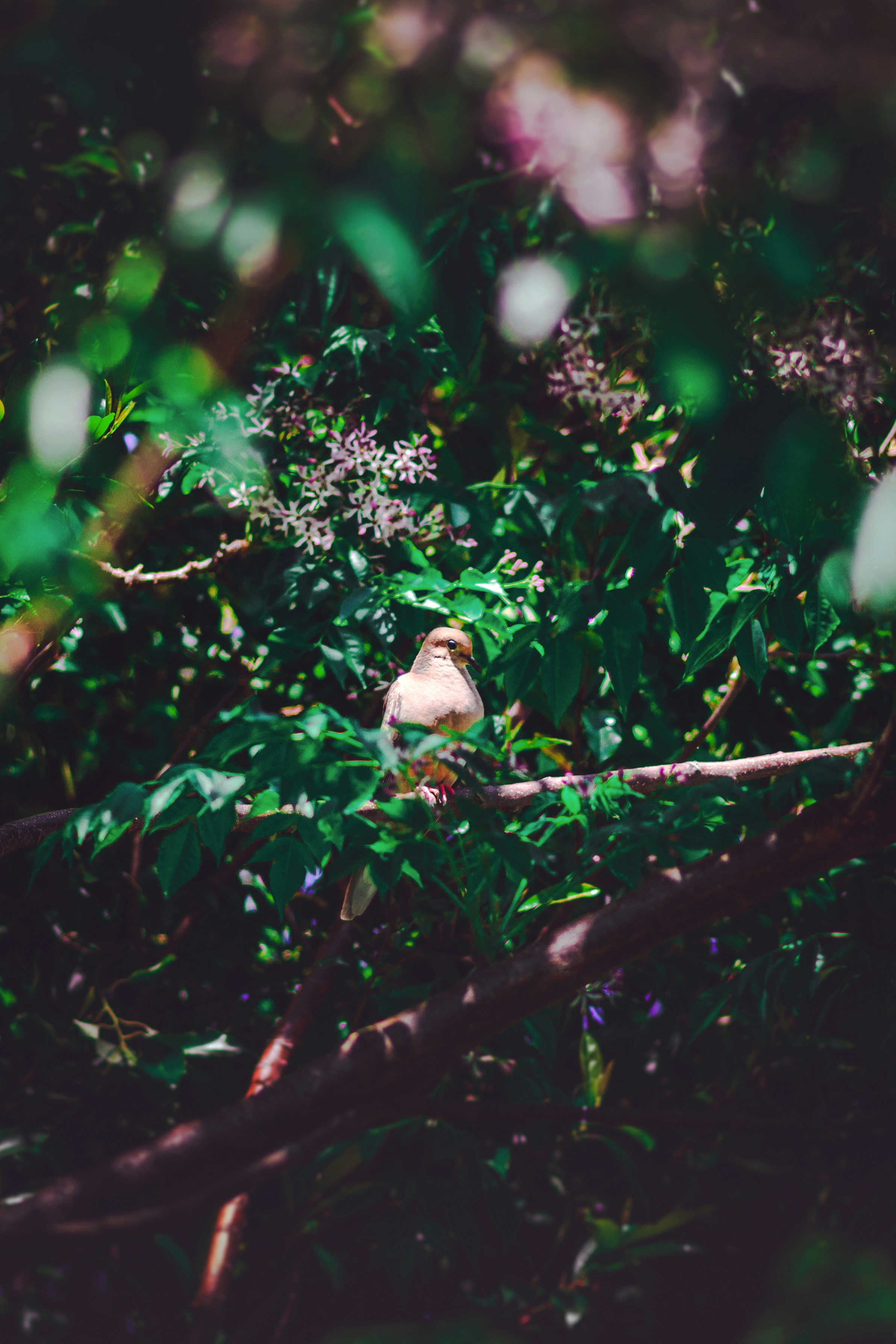 Photo by mhgfxdesign