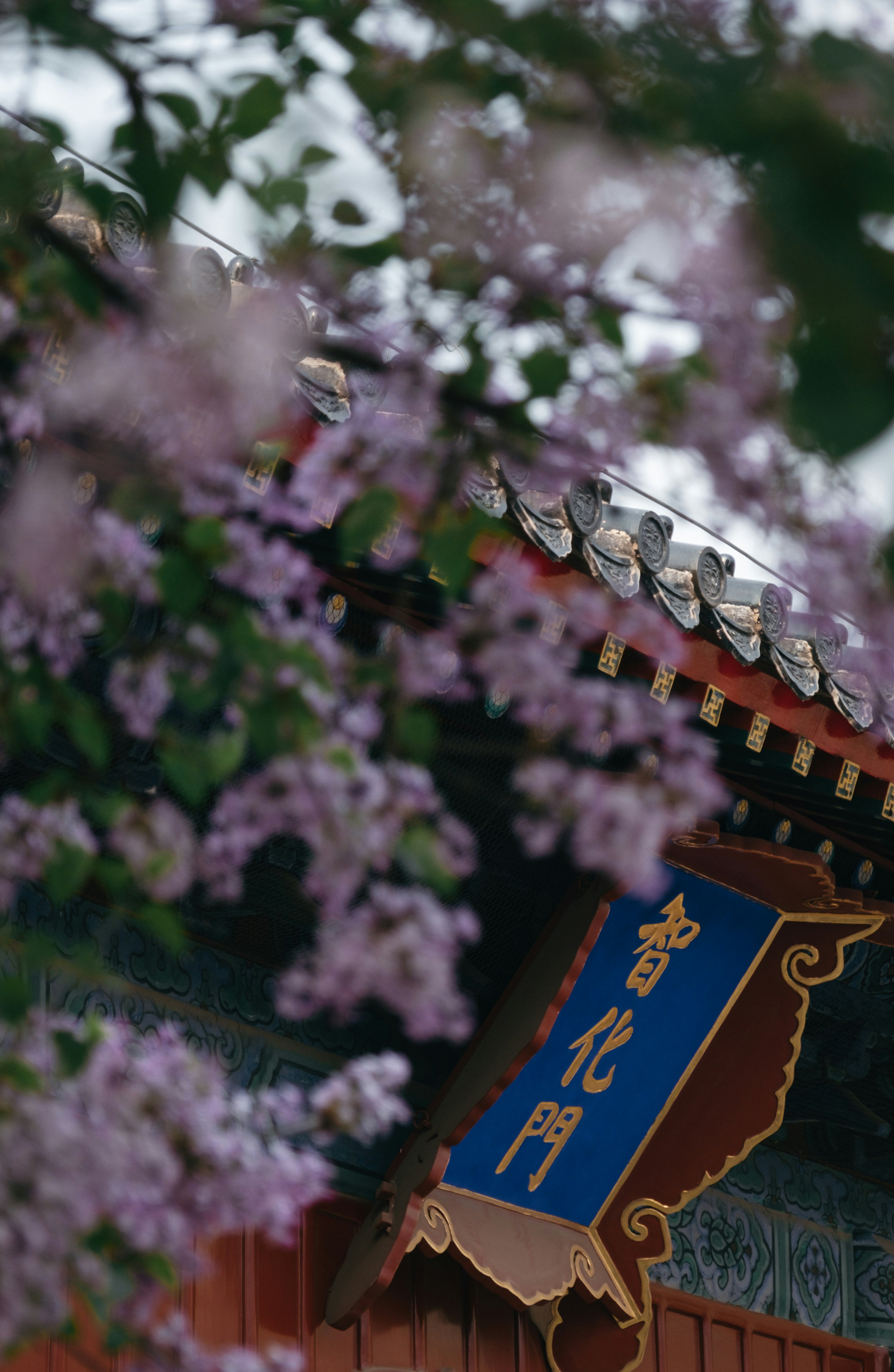 建物の側面にぶら下がっている青と赤の看板