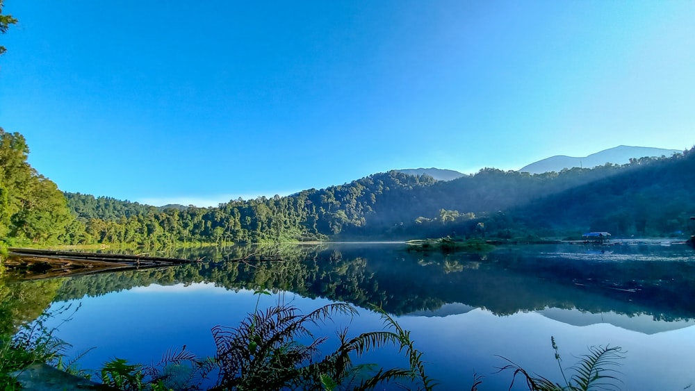 a body of water surrounded by trees and mountains