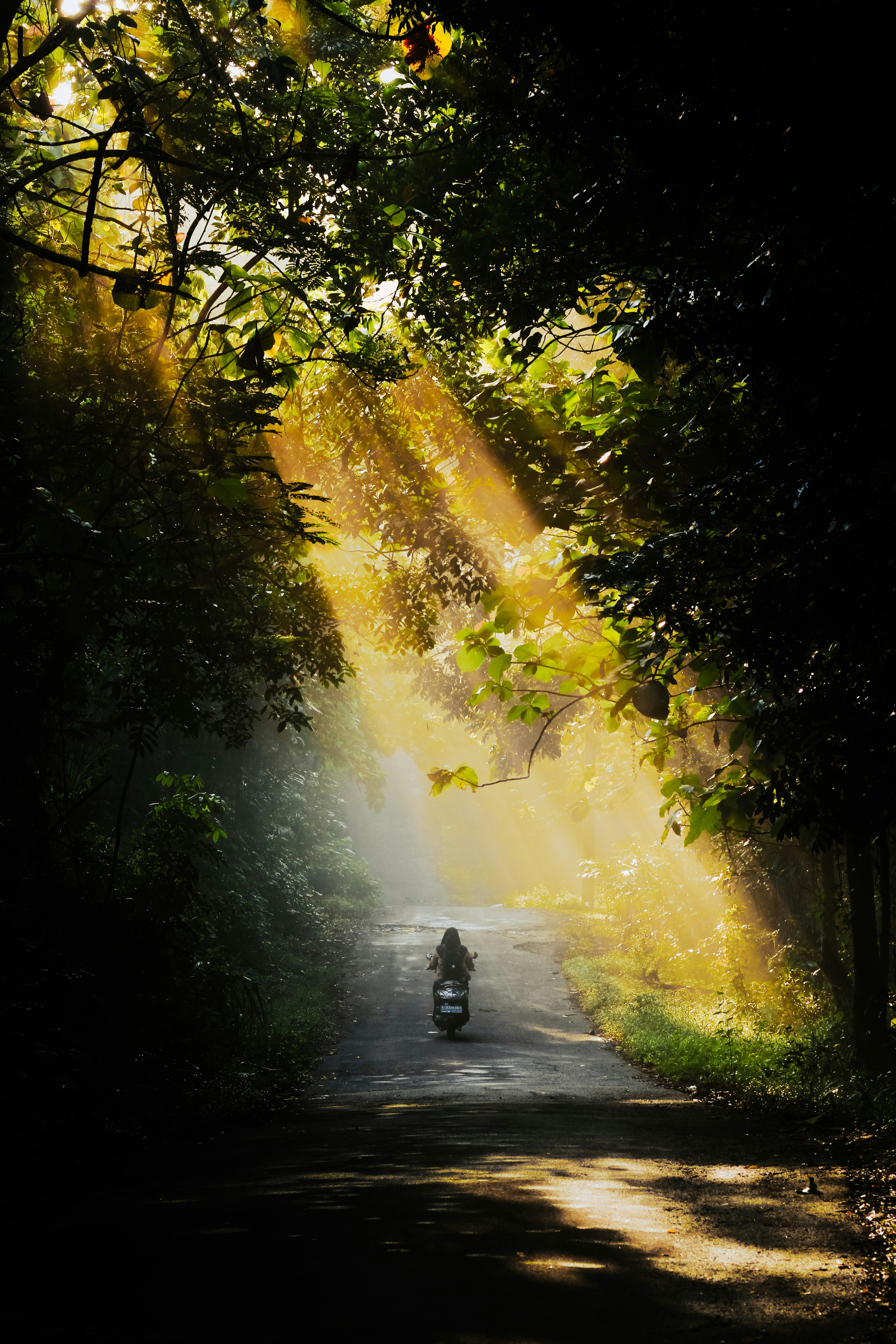 Photo by fajaraqmal29