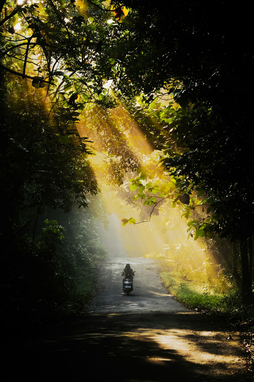 a person riding a motorcycle down a dirt road