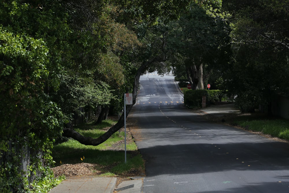 a street lined with trees and a street sign