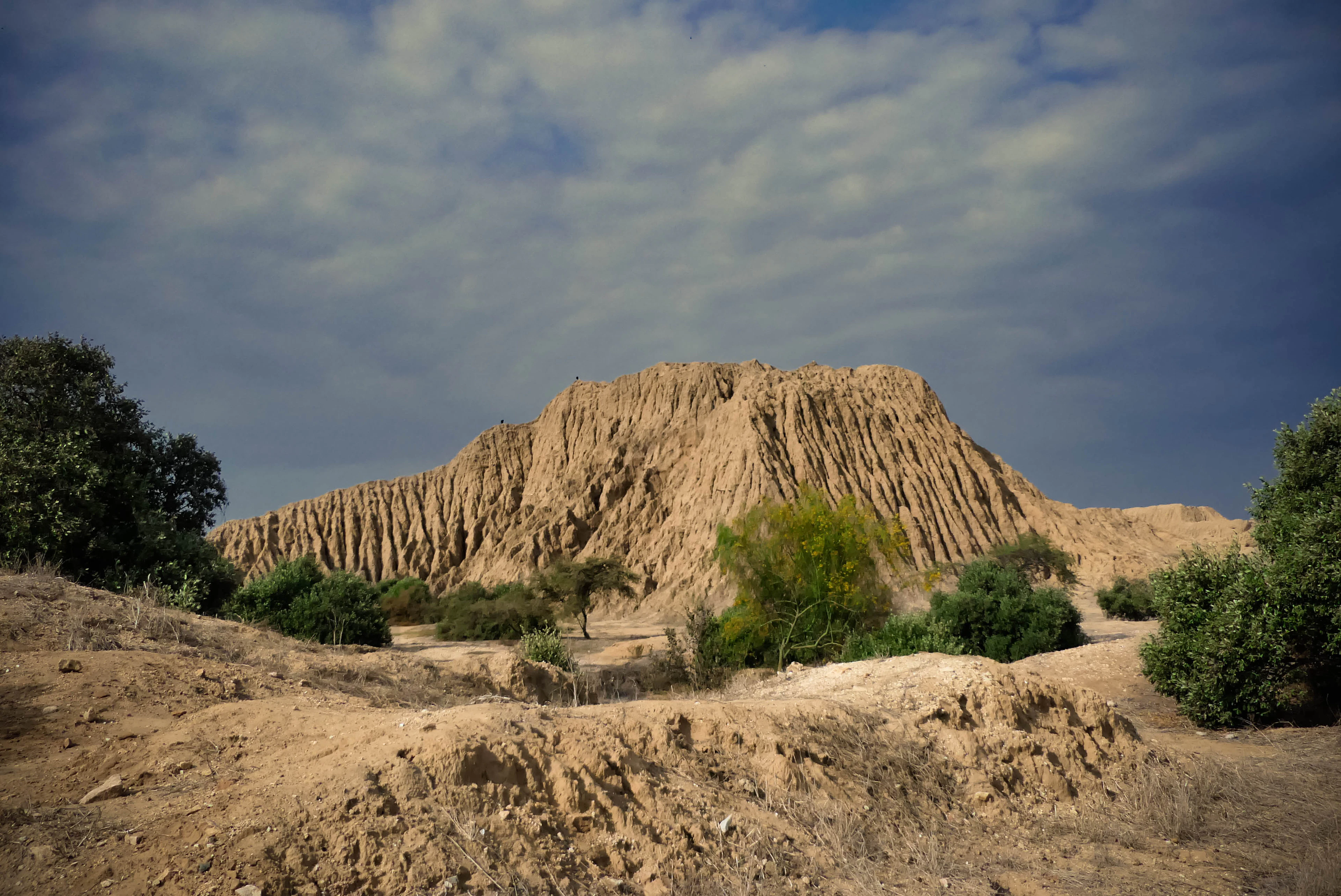A rain-furrowed adobe pyramid among dry scrub at Túcume