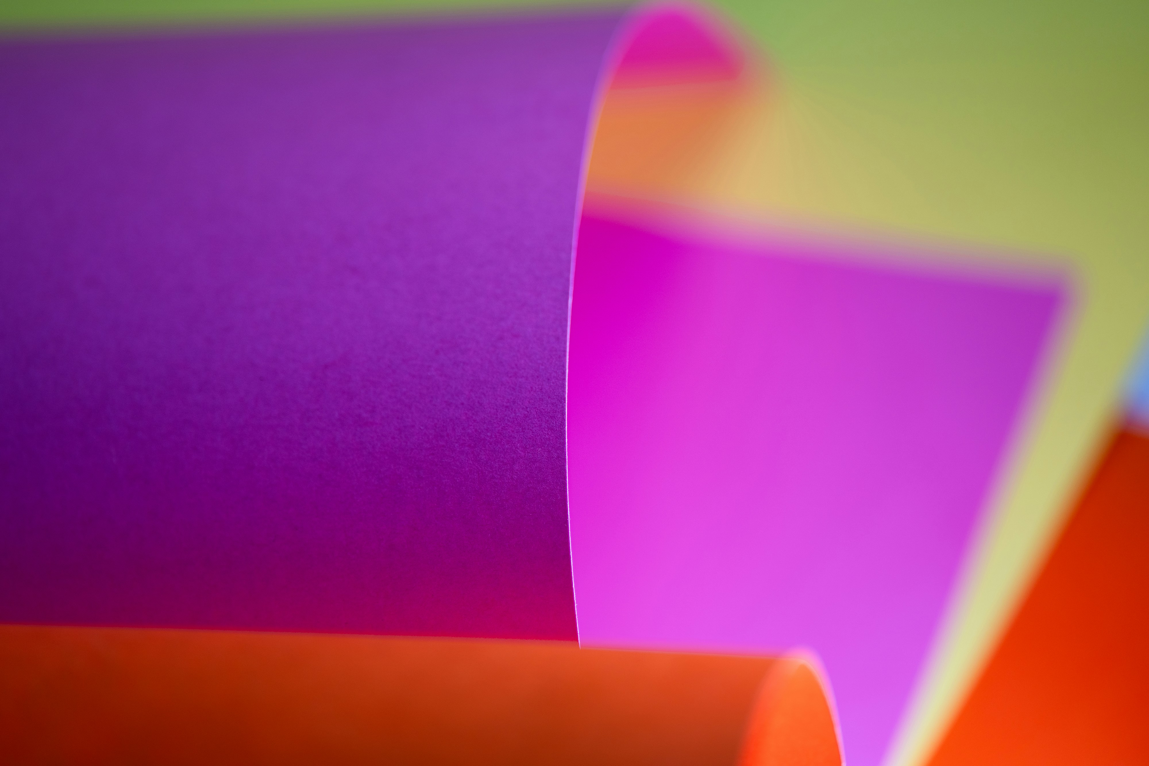 Desktop wallpaper. Macro photography.