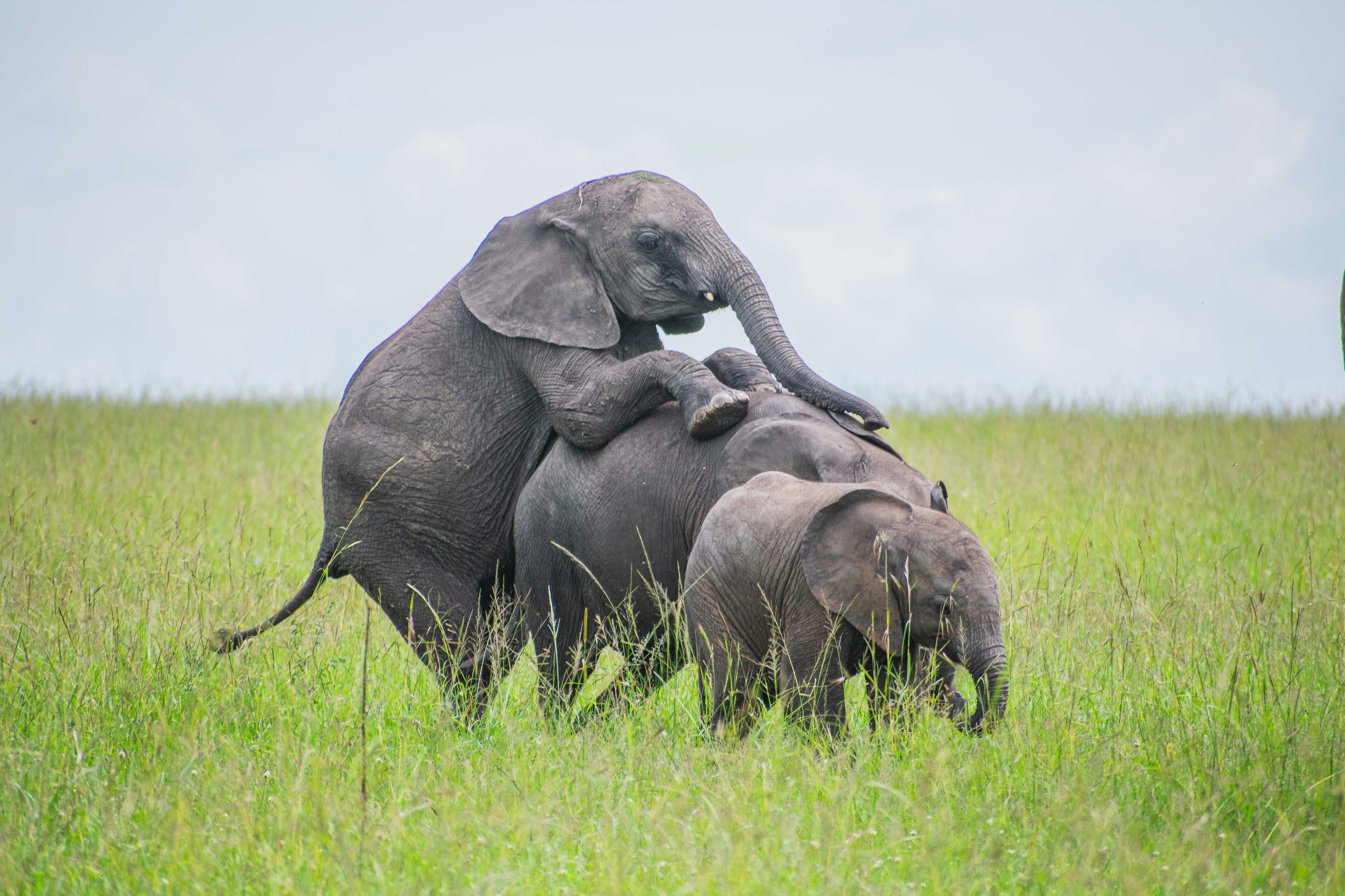 Photo by oldceltic