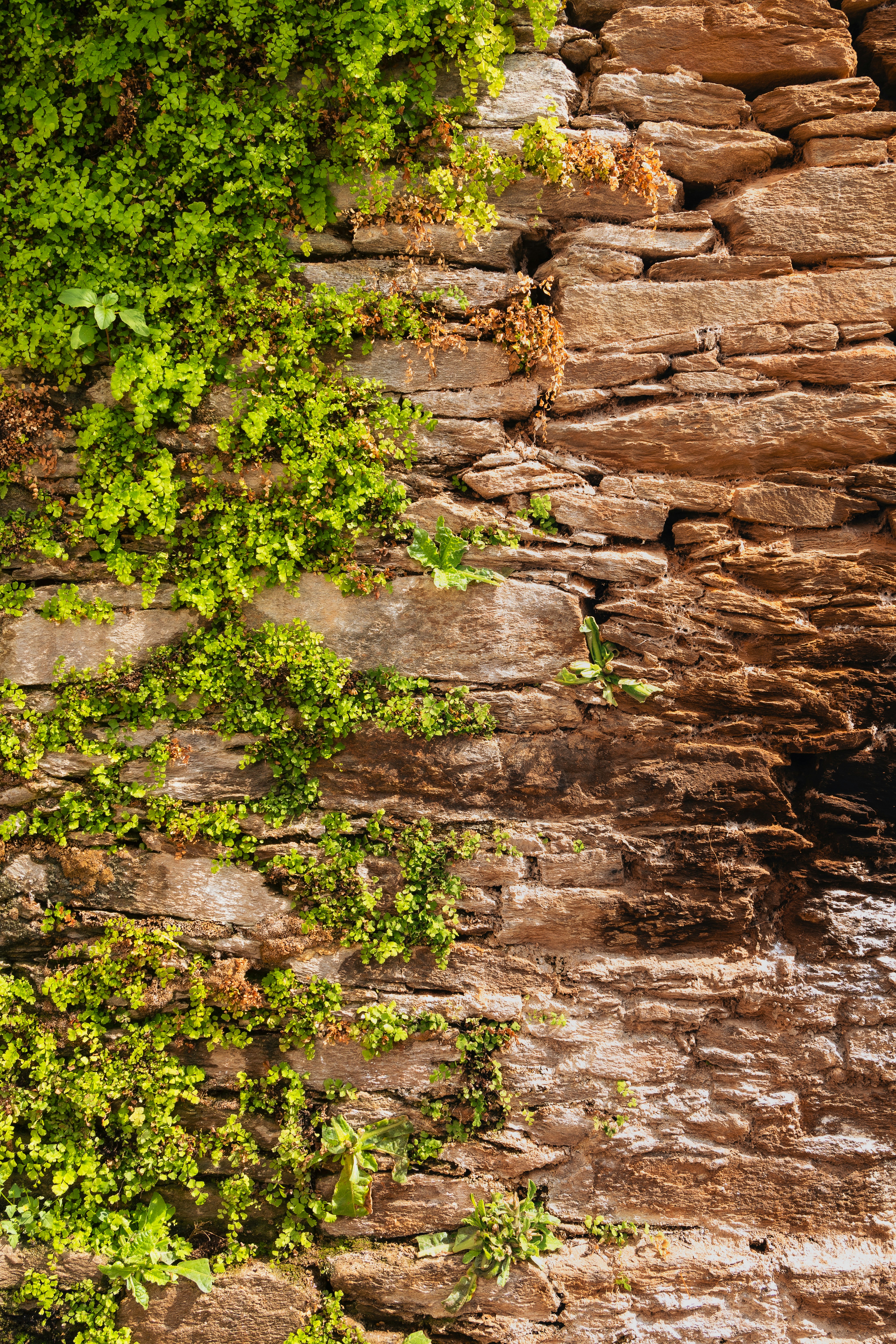 Photo by divyanksachdeva