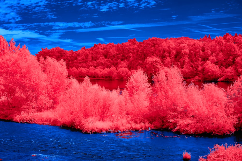 a red and blue landscape of trees and water