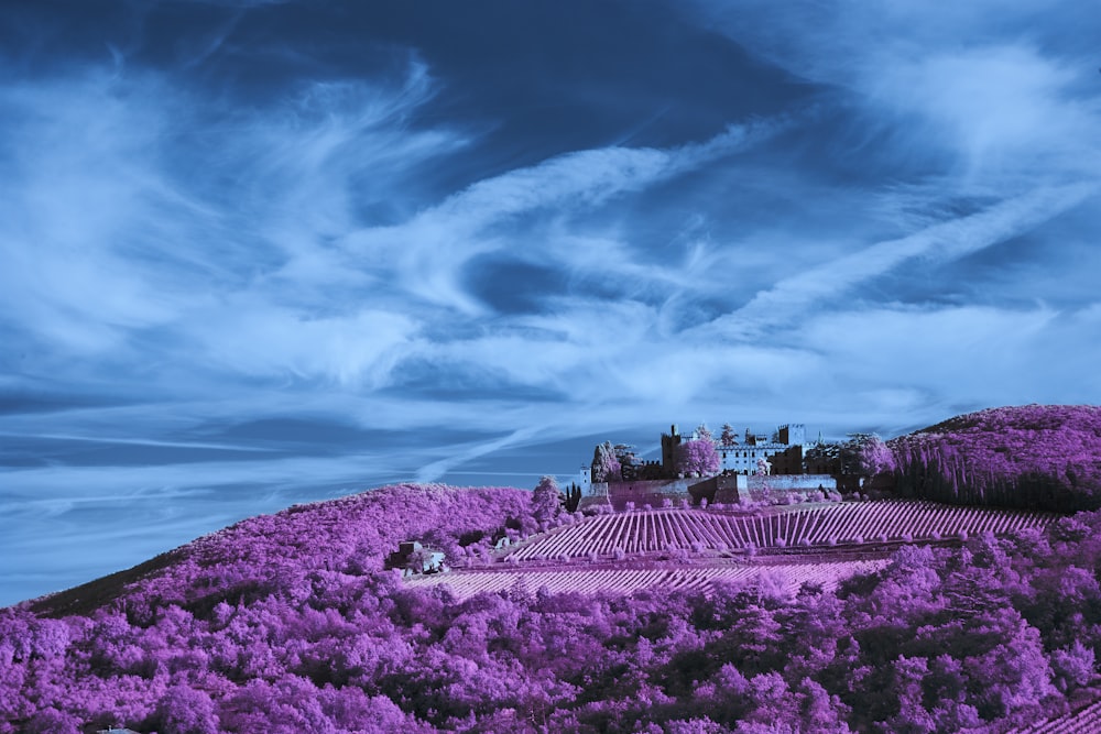 a purple landscape with a castle on top of a hill